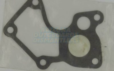 0332108 Thermostat Gasket