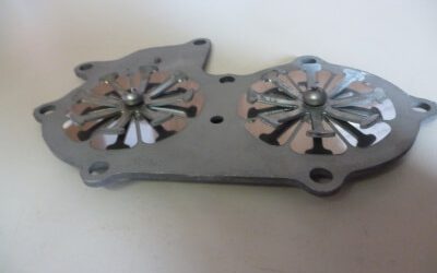 398489 Leaf plate assembly