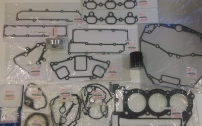 DF250 Suzuki Repair kit